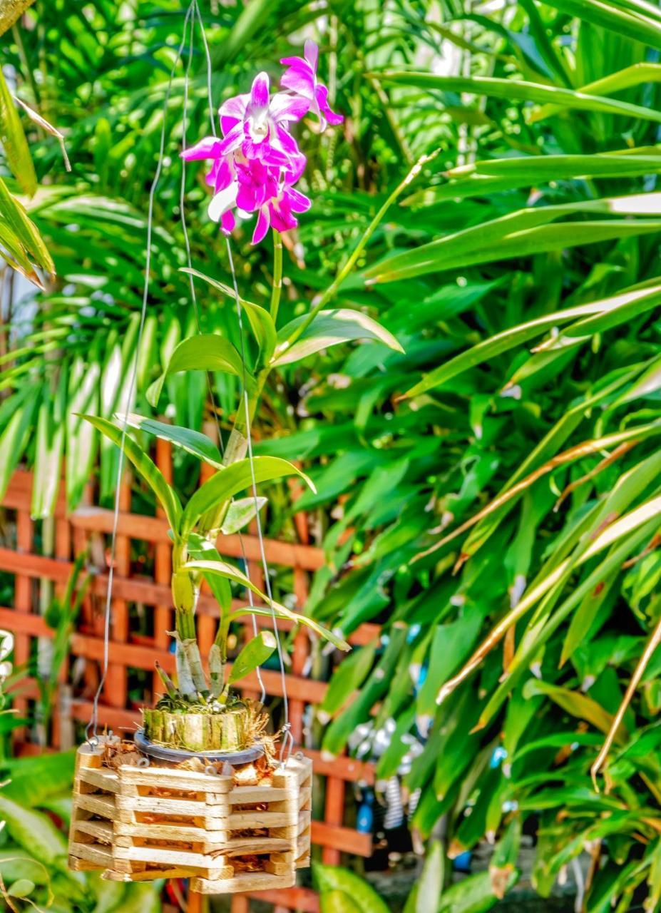 Kata Leaf Resort Phuket - Eksteriør bilde